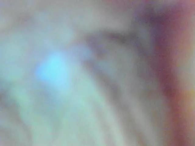 Freechat AishaRouhi on BongaCams