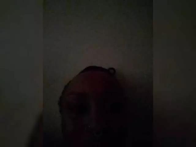 Kinkyfreak on BongaCams