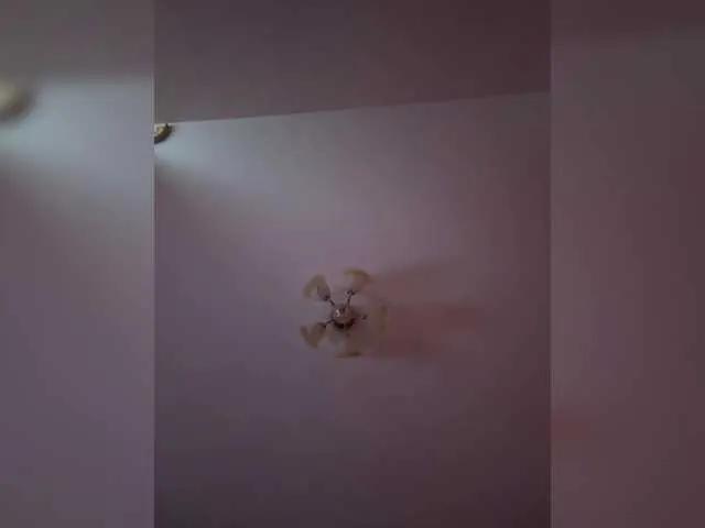 BongaCams Maria-5 is Freechat Maria-5 — Freechat on BongaCams