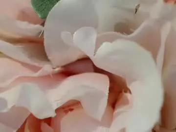 Private imcarrieberry on Chaturbate