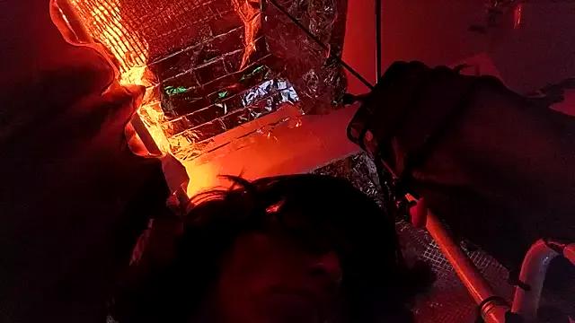 Freechat gurlnips on StripChat