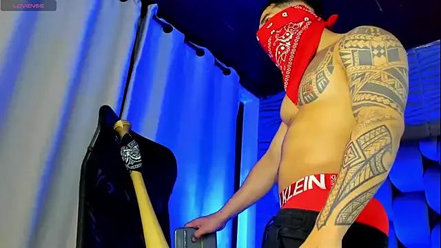 king_falconer — show sorprise